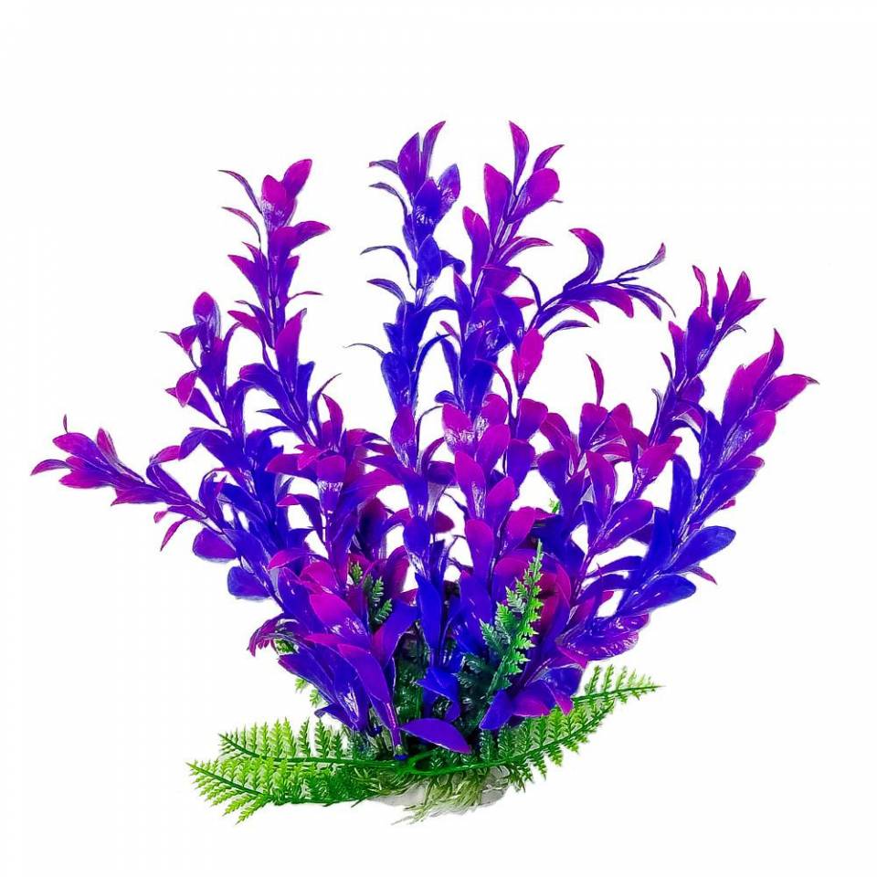 Aquarium Decorations