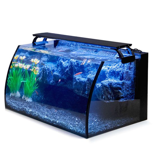 Hygger Horizon 8 Gallon Aquarium Kit